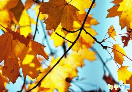 ����ʮ�¶̾� ����ʮ���ջ��������Ӷ̾�