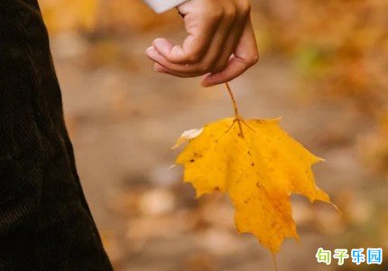 ��ʾ�Լ����������İ� ��ʾ�����������ĵ��İ�
