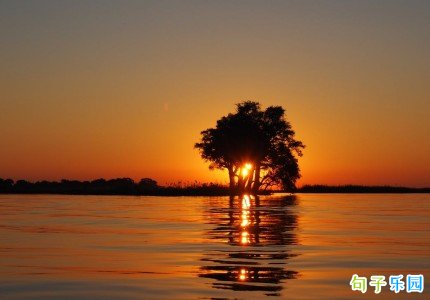 ÿ��΢���簲�ʺ��ﾭ�� �����峿�ʺ�ľ������