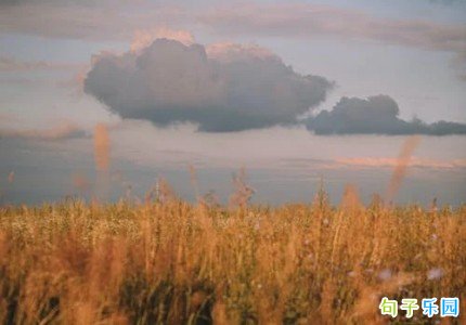 �ʺ����İ��Ĺŷ����