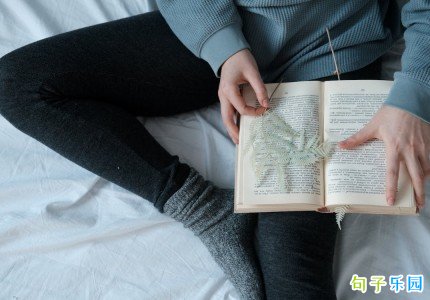 ΢���ö�����˵˵ ΢�������İ�