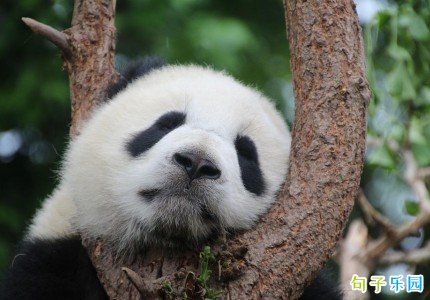 国庆节朋友圈搞笑语录 国庆放假文案有趣