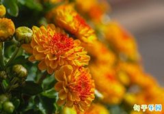 �ž������ھ���̾� ��ף������˵˵