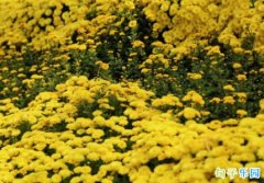 �������İ����� �������ڵ�˵˵
