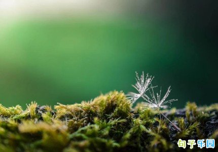 �йغ�¶���İ� �ֵ��˺�¶������˵˵