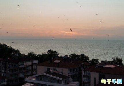 �������ҵ��İ��̾� ���ҵľ���΢������Ȧ