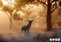 ��ѩ����İ� ��һ��ѩ�����İ�