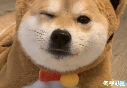 ��Ц����Ƶɳ��̾��İ� �ڲ���Ц����Ƶ�İ�