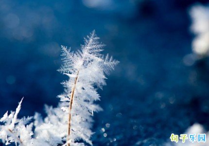 ��ѩ���Ӷ̾� �������һ��ѩ���İ��̾�