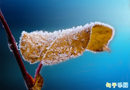 ˪�������İ� ���ڲ�ͬ��˪���İ��̾�