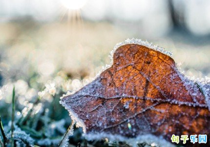 霜降暖心文案短句 有意境的霜降文案短句