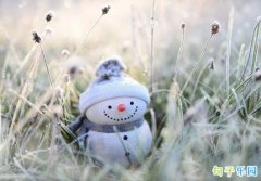 �����İ��̾� ��������������İ�