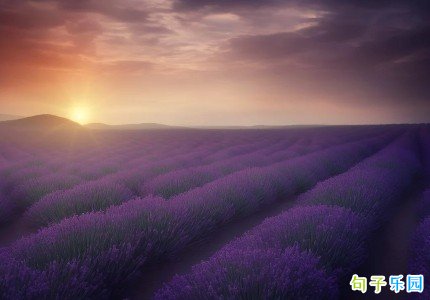��ĩ�簲��̾��� ��ĩ�簲��¼���һ�仰