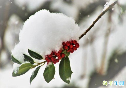 ����С�İ� �����˵˵����
