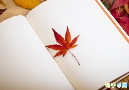 ʮһ���簲��¼�̾� ʮһ�µ�һ�������İ�