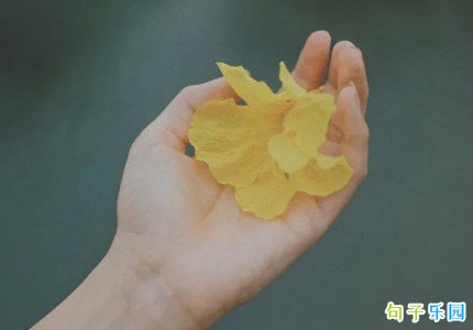 ������ͷ�İ� ����ͻ���ͷ��˵˵�̾�