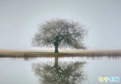 ɥ�����µĸ���ǩ�� ���ԵıȽ�ɥ��ǩ��