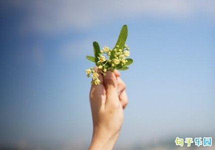 有质感的唯美句子短句