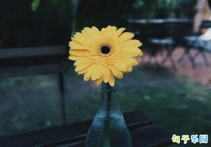 ���и���Ķ̾��İ� �����и����˵˵�̾�