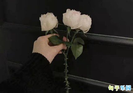 �Ҹ���������������ǩ��