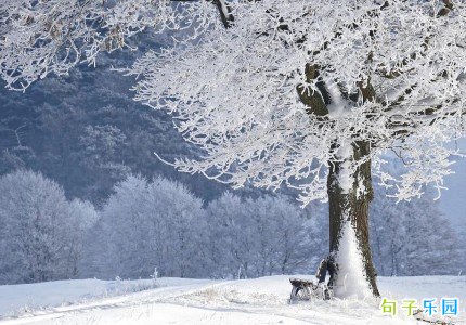 ������ܰ���İ� �����İ�����Ȧ����