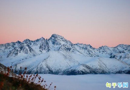 �������İ��̾� �ʺ����������İ�