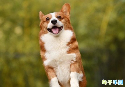 �����İ���Ȥ ��Ȥ���İ���������Ȧ