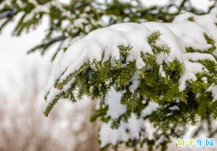 ����������˵˵ �����ر�������İ�