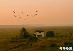 �������ܴ������İ� ������������İ�