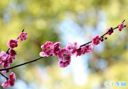 �ܶ���־��¼������ �ܶ��簲����������������