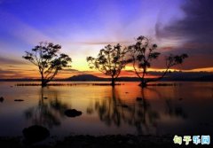 �ǳ��������İ� ������Ŀ�������İ�
