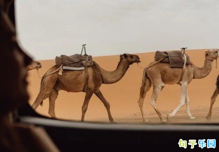 ���ܴ����ľ������ ���ܴ����ľ��پ���