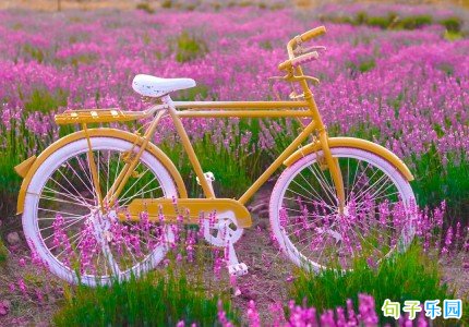 Ů����������ǩ���̾� Ů��������˵˵��ȫ