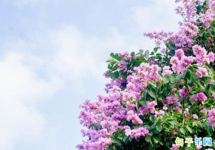 一听就上头唯美的句子 让人一听就心动的句子