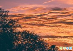 һ�����ĵĿ����İ��̾�