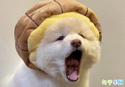 �ɰ���ǩ���̾���Ůͨ��