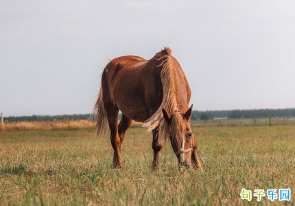 ��Ŀ��������־���Ӷ̾�