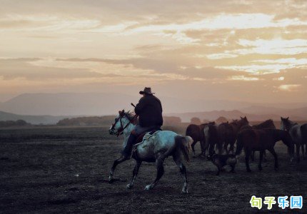 ��Ŀ�����İ���ȫ ���˹�Ŀ�����ĺ��İ�