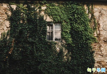 vivoϢ������ǩ�� vivo�ֻ���Ļ����ǩ��