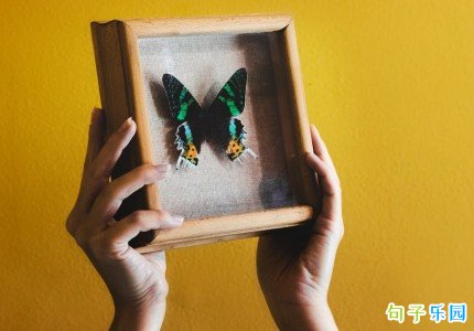 �ж�����ô������Ȧ �ж������·�����Ȧ�İ�