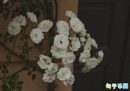���ҵ��İ� ������Һܷ���ľ���