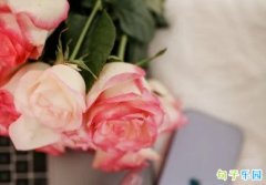 ����Ű������ǩ�� ���³���Ű��ǩ��