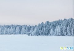 ��ͷ�Ľ�� ������ͷ�ľ���