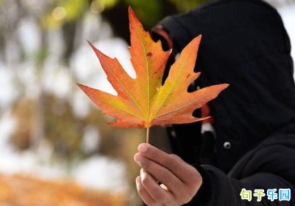 晚安走心短句语录 最美晚安心语经典句子