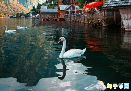 �����������İ� ����ʮ����ŵ��İ�