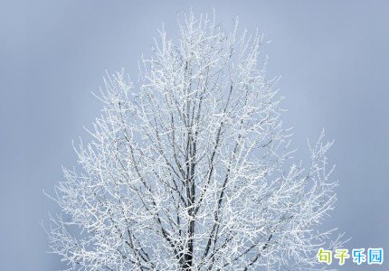 ���ڶ������ֵ��İ� �������ʺ�����ô˵
