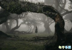 �ض�����֢�ѹ��ľ��� �ض�����֢�ռ�˵˵
