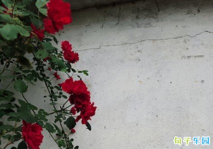 2023������İ��̾�