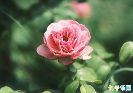 �����İ��߼� �������ĵ��İ�