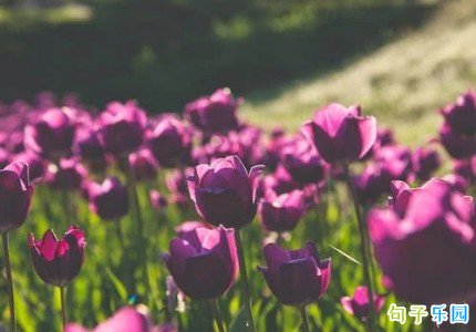 ���������İ� ��������˵˵
